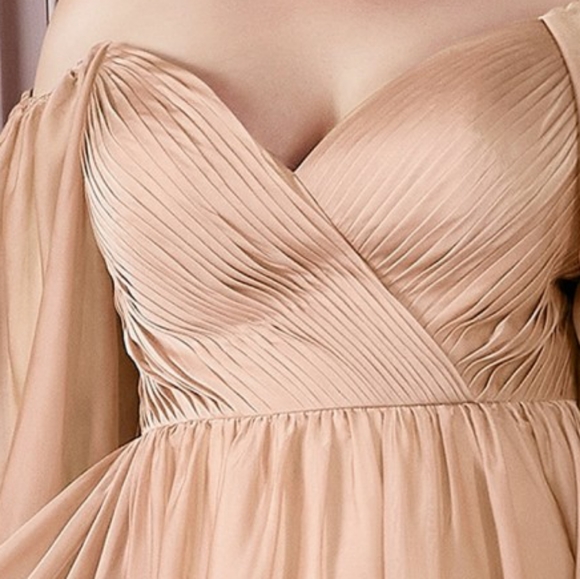 COPY - Plus size formal dress - Picture 8 of 9